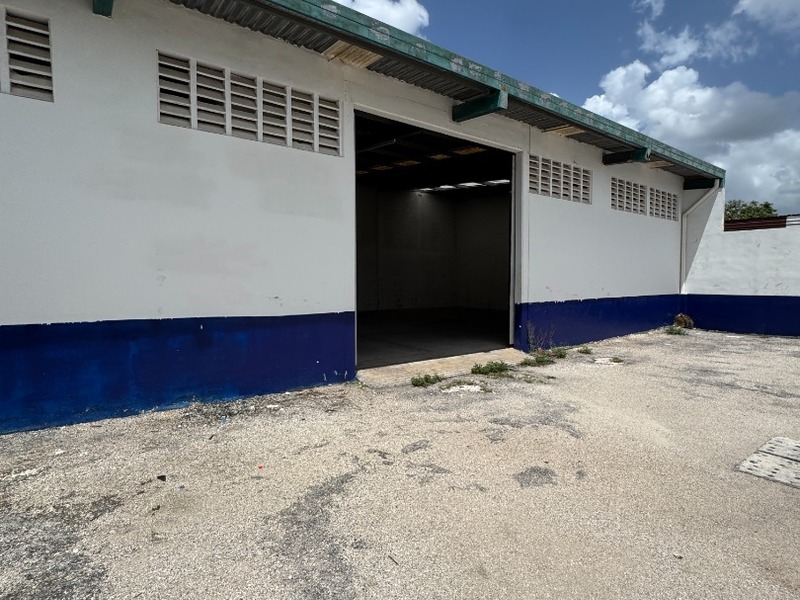 Renta Local con Bodega Comercial