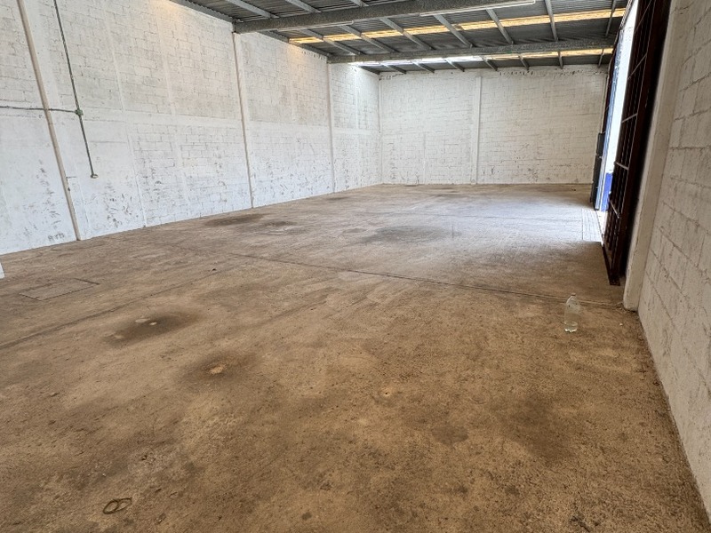 Renta Local con Bodega Comercial