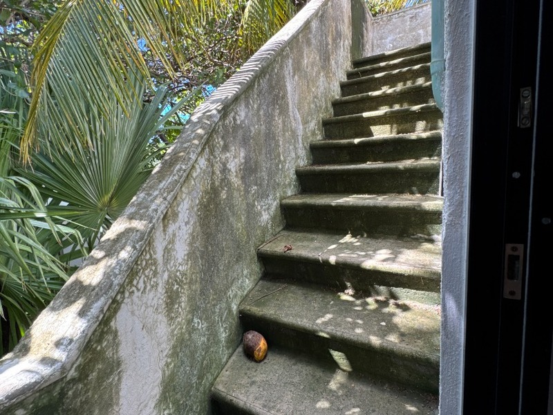 RENTA  Casa de dos plantas en la colonia Chuburna Hidalgo, Mérida, Yucatán
